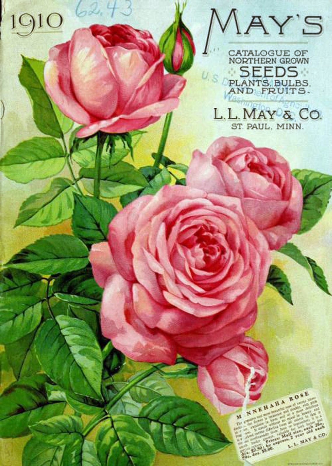 Vintage Antique Roses Posters_(61 item) Blisse Design Studio