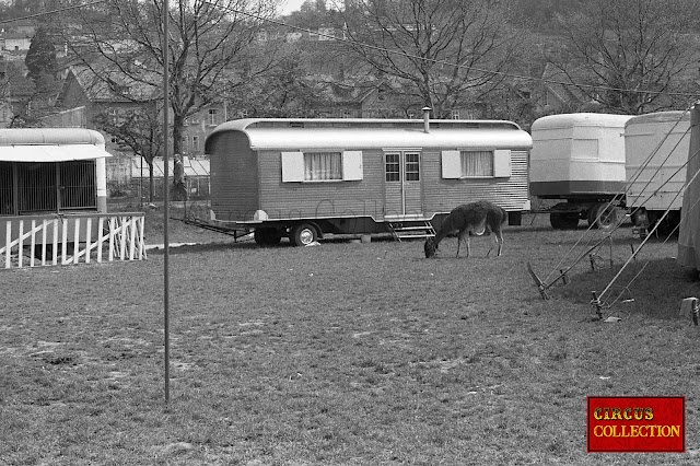 Photos du Cirque Alberti installé à Lorrach à la frontière entre l'Allemagne et la Suisse à côté de Bâle, le 1er mai 1972