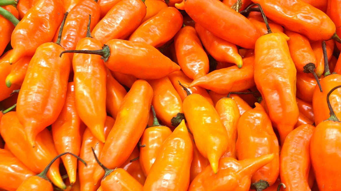 Los chiles más picosos del mundo a prueba de valientes Comida
