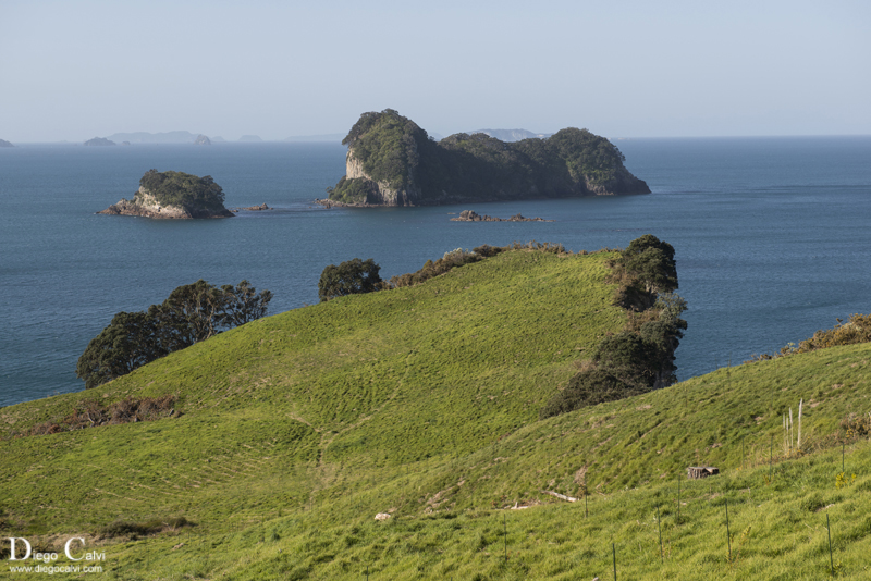 Nueva Zelanda en Campervan - Vuelta al mundo - Blogs de Nueva Zelanda - Coromandel y el lejano Norte (3)