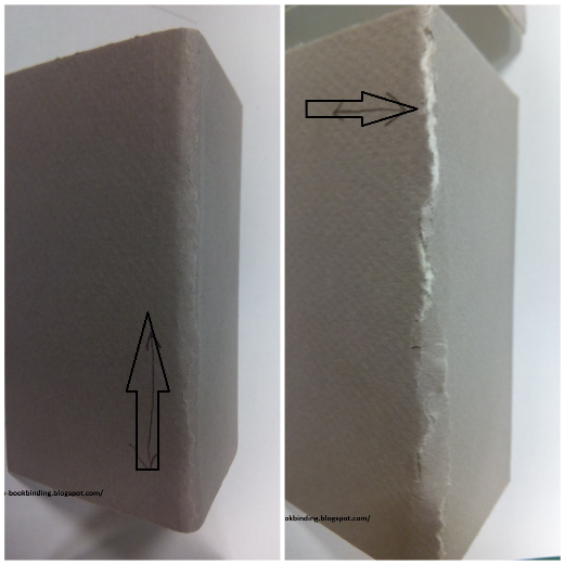 Paper grain direction Tutorial