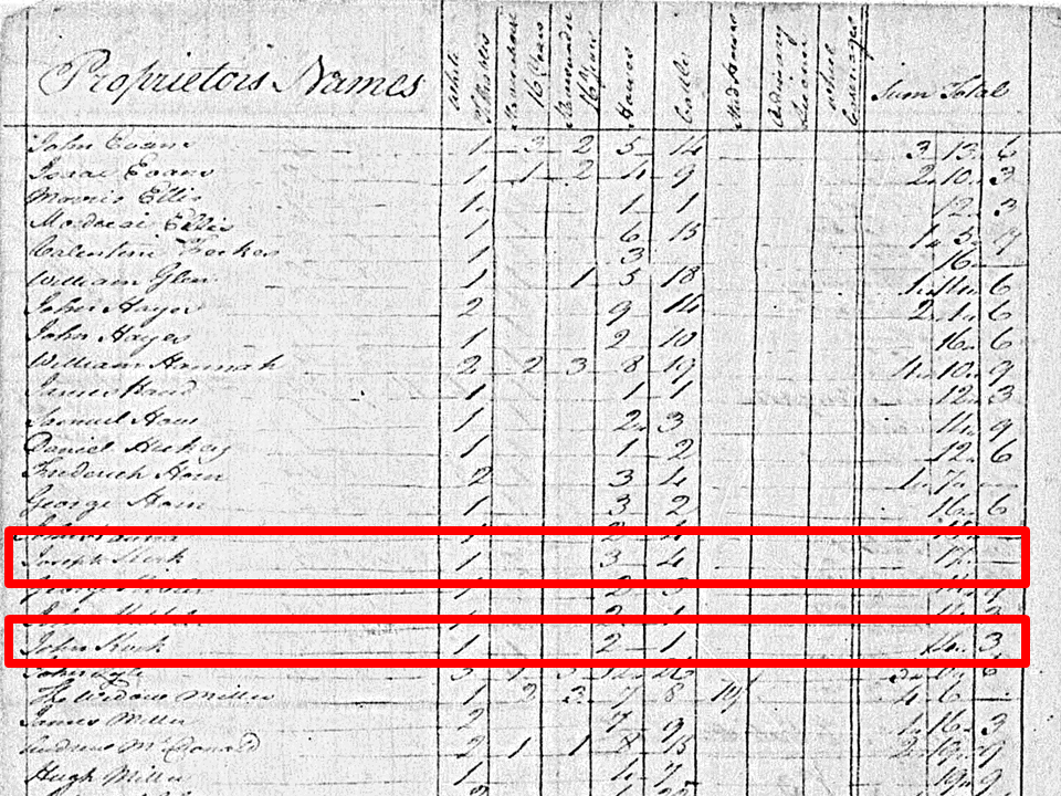 Family Sleuther Coming of Age in Virginia's 18th Century Tax Records