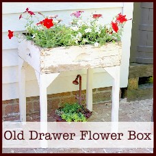 old drawer flower