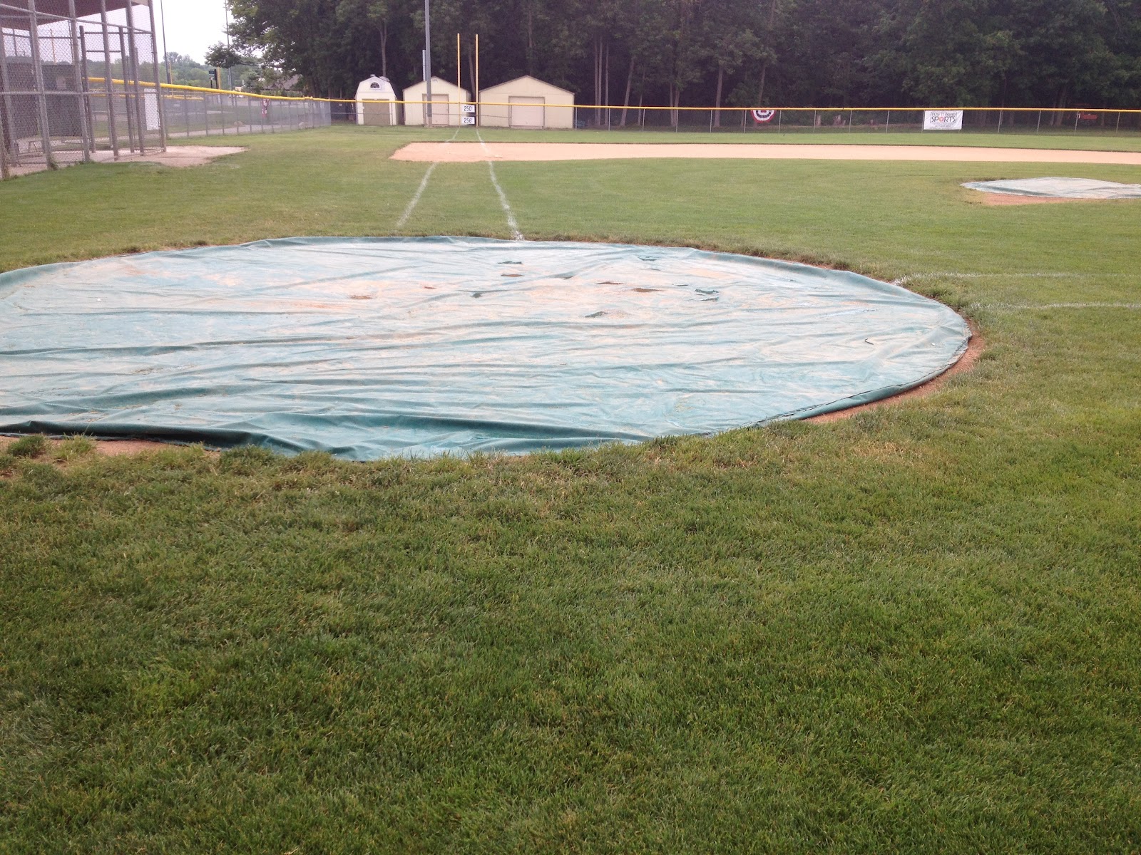 Smart Turf MultiUse Baseball Fields, Drought Stressed Turf