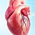 8 Food That Causes Heart Disease Most People Ignore!