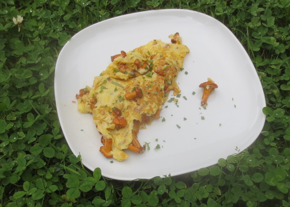 Barbaras Spielwiese: Omelette mit Pfifferlingen