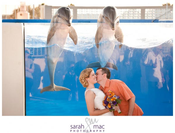 marineland wedding photo