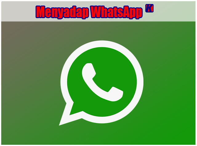 Unduh Whatsapp Di Play Store Aplikasi Selain