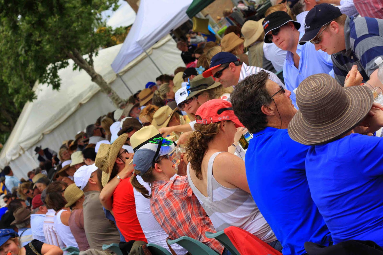 MUDGEE A TOURIST DREAM! EVENTS AND HAPPENINGS