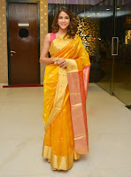 Lavanya Tripathi Gorgeous in Saree Photos at Tripura Herbal Launch TollywoodBlog