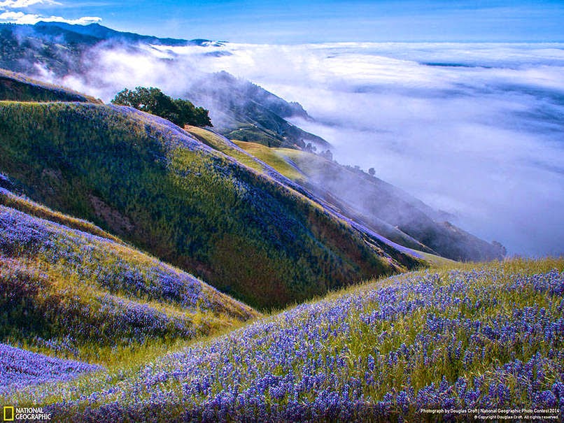 17 صورة رائعة من ناشونال جيوجرافيك