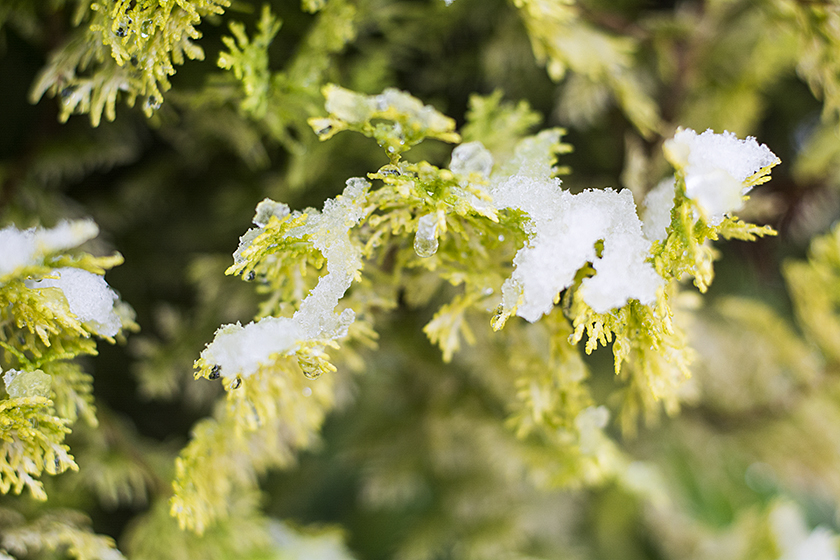 Kwiecień Plecień Bo Przeplata Trochę Zimy Trochę Lata Po Angielsku Jesień plecień, bo przeplata - trochę zimy, trochę lata