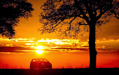 A car drives along an alley as the sun sets near Petersdorf, eastern Germany, on October 26, 2013