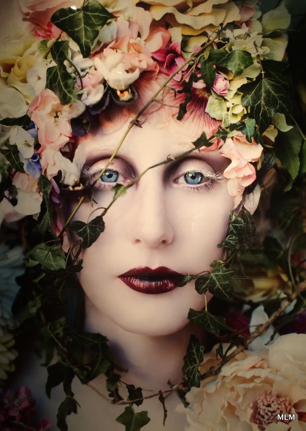 Sweet Leaf Notebook: Kirsty Mitchell's Wonderland at The Paine
