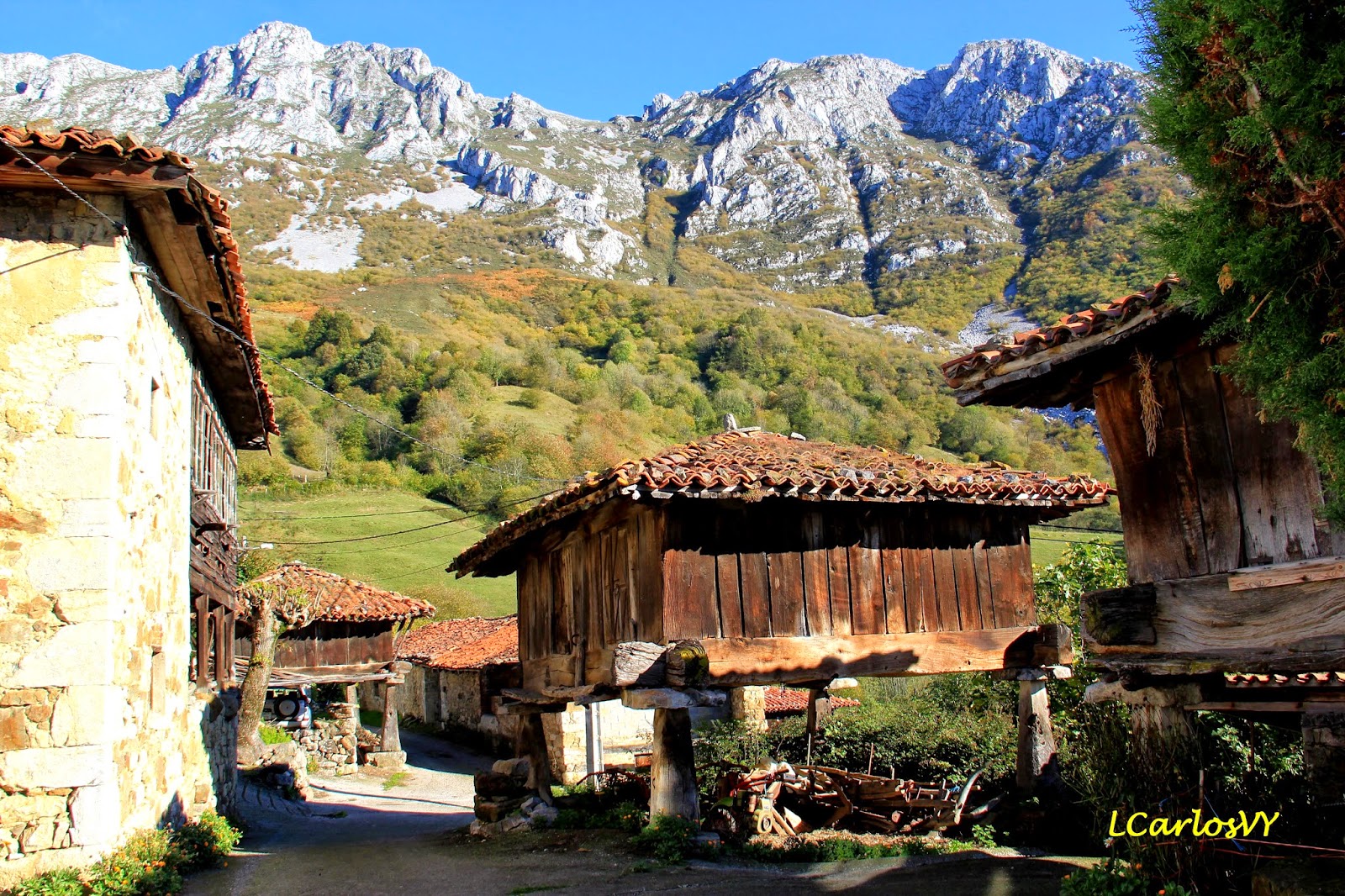 Escarbando por los Rincones de Asturias: El texu de Bermiego