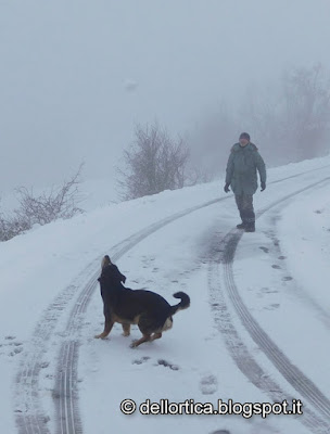 camminate nella neve, percorsi olfattivi, birdwatching ed altro alla fattoria didattica dell'ortica a Savigno Valsamoggia nel Bolognese in Appennino vicino Zocca