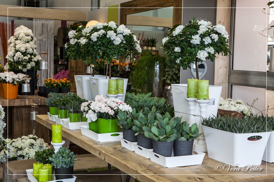 Artifactum ver@bilis Blog: Blumenhalle auf der Landesgartenschau Zülpich