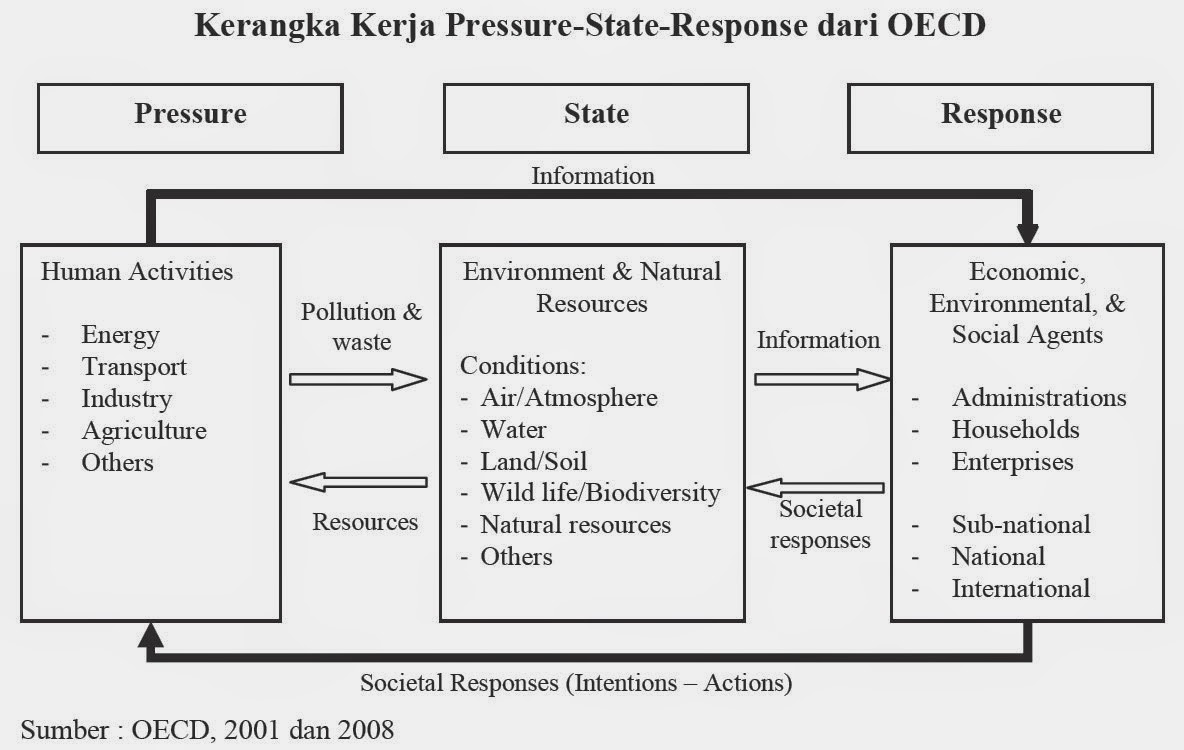 5. Steady state solver. Assr исследование. 1. Fale state.