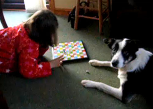 Video : 女の子とボードゲームで勝負するイヌ ! !