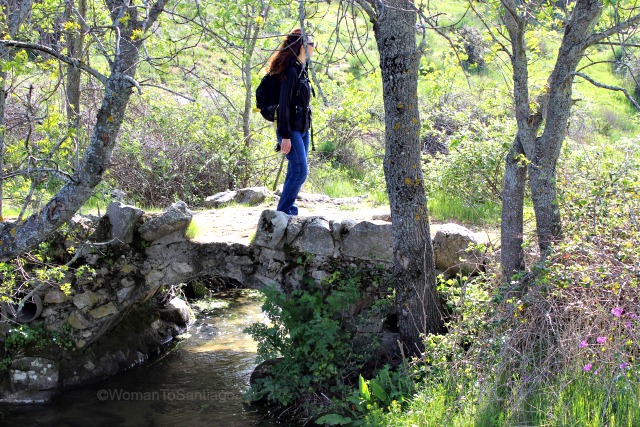 la-pedriza-camino-de-santiago-de-madrid