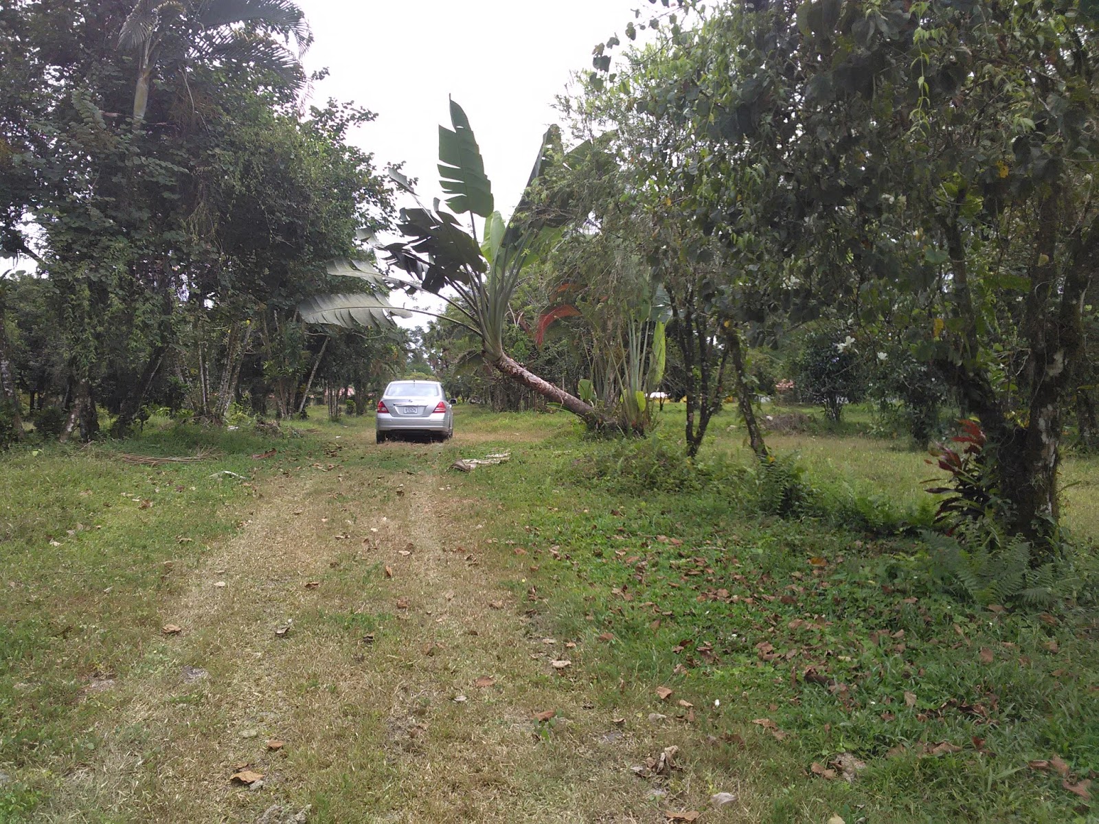 MPaniagua bienes raices 0238001 Lote, Guapiles, Limon, Costa Rica