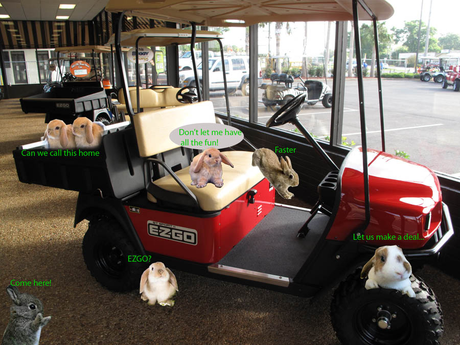 Buggyworx Golf Carts Buggy Worx's bunny quotes!