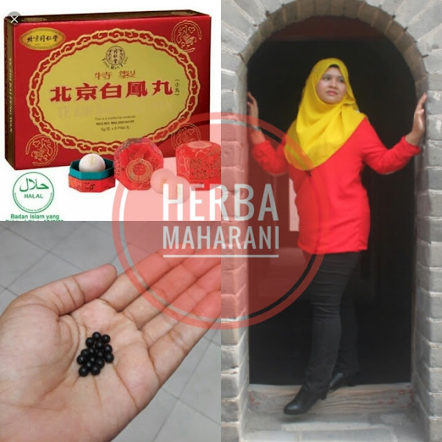Harga Baru Herba Maharani Haio 2018 Harga Baru Herba Maharani Haio 2018