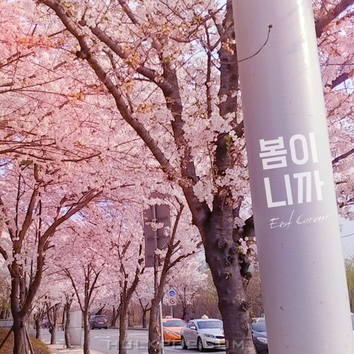 East Corner – It’s Spring – Single