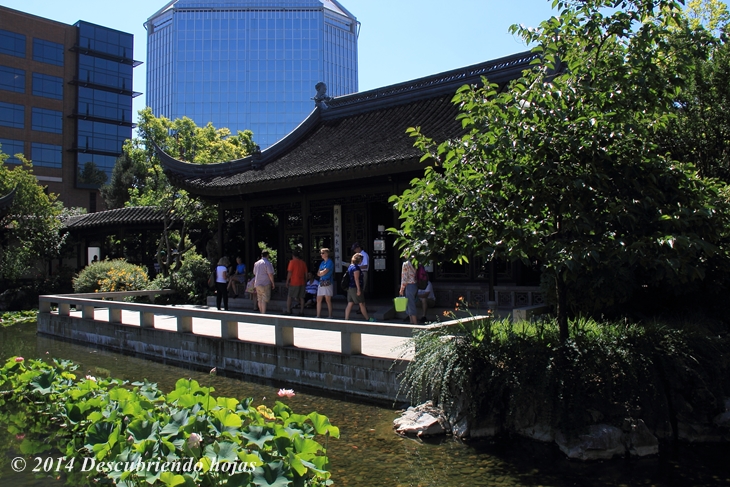 Descubriendo hojas: El Jardín Chino Lan Su de Portland. #gbfling14