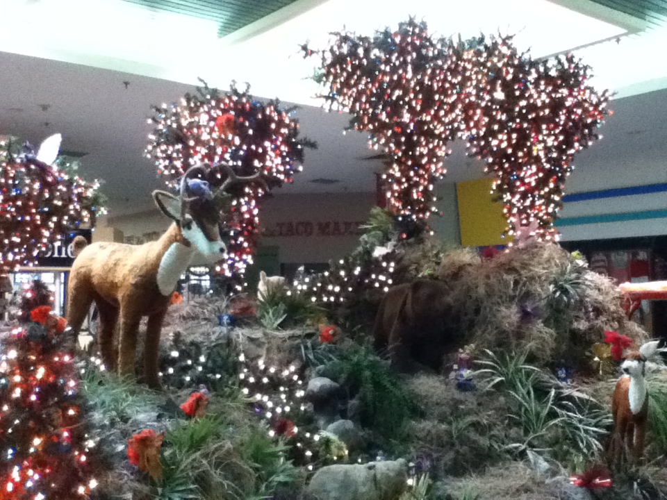 PUERTO RICO GALLERY: FELIZ NAVIDAD 2011