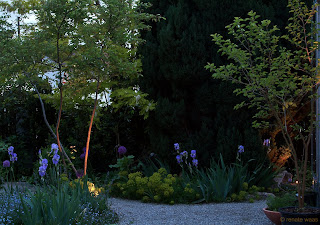 Gartenblog Geniesser-Garten : Licht im Garten