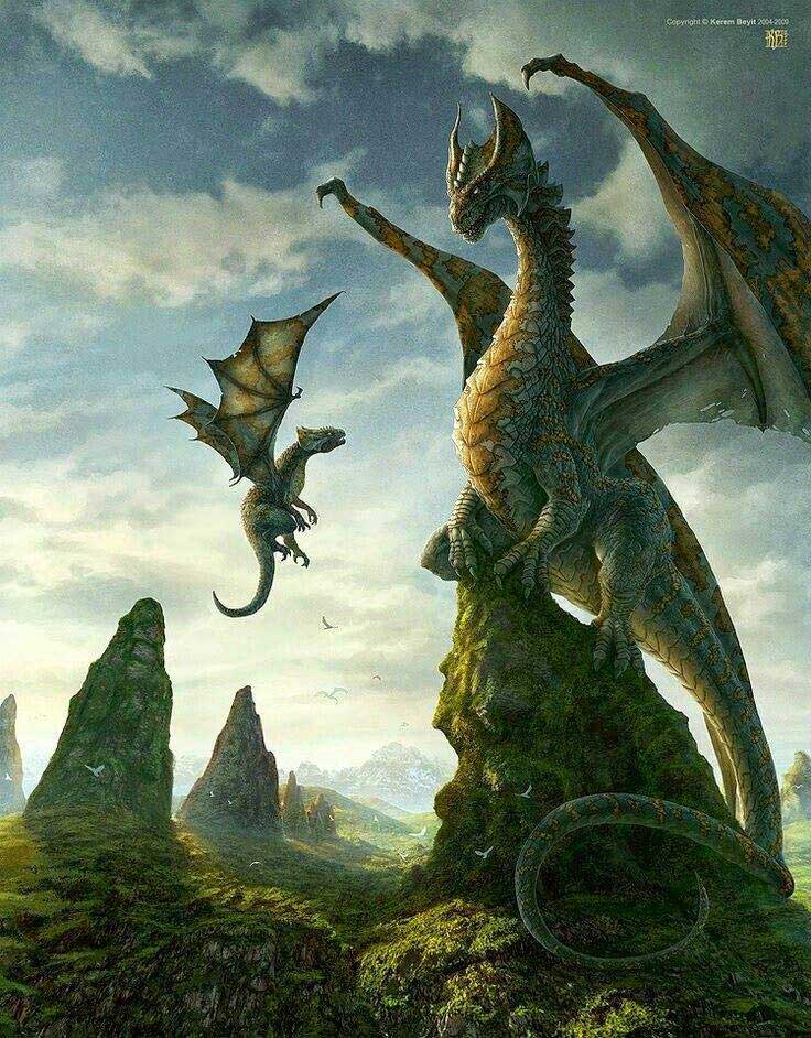 best o que significa sonhar dragao image collection