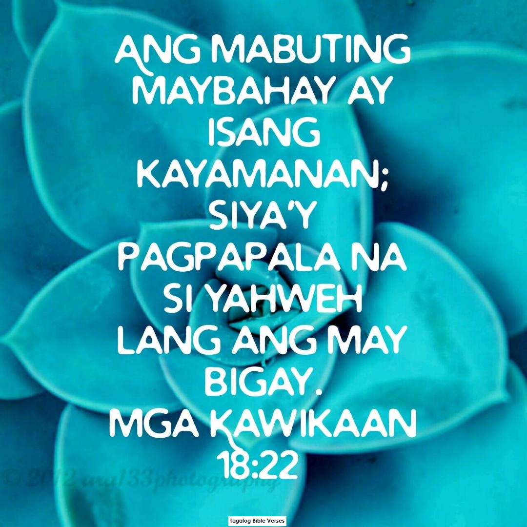 kawikaan-18-22