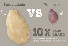 Stéatose hépatique, l'autre mot pour foie gras