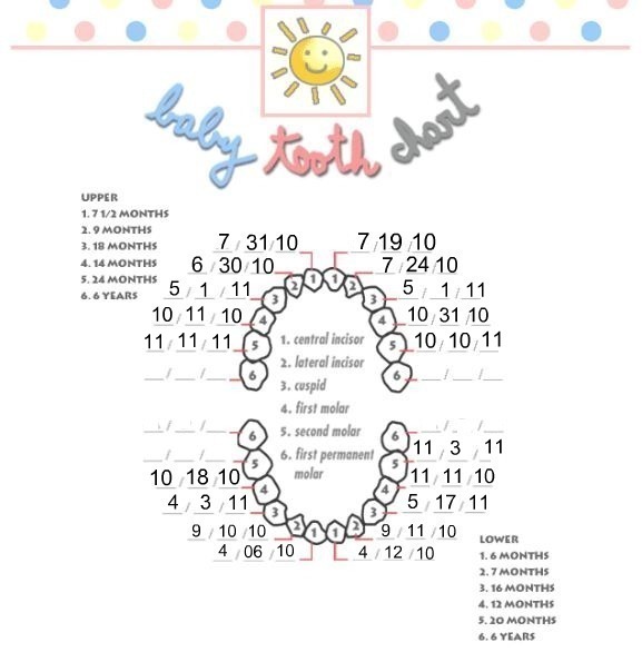 Young Mommy & Wife Tooth 19! And cradle cap... (or something)!