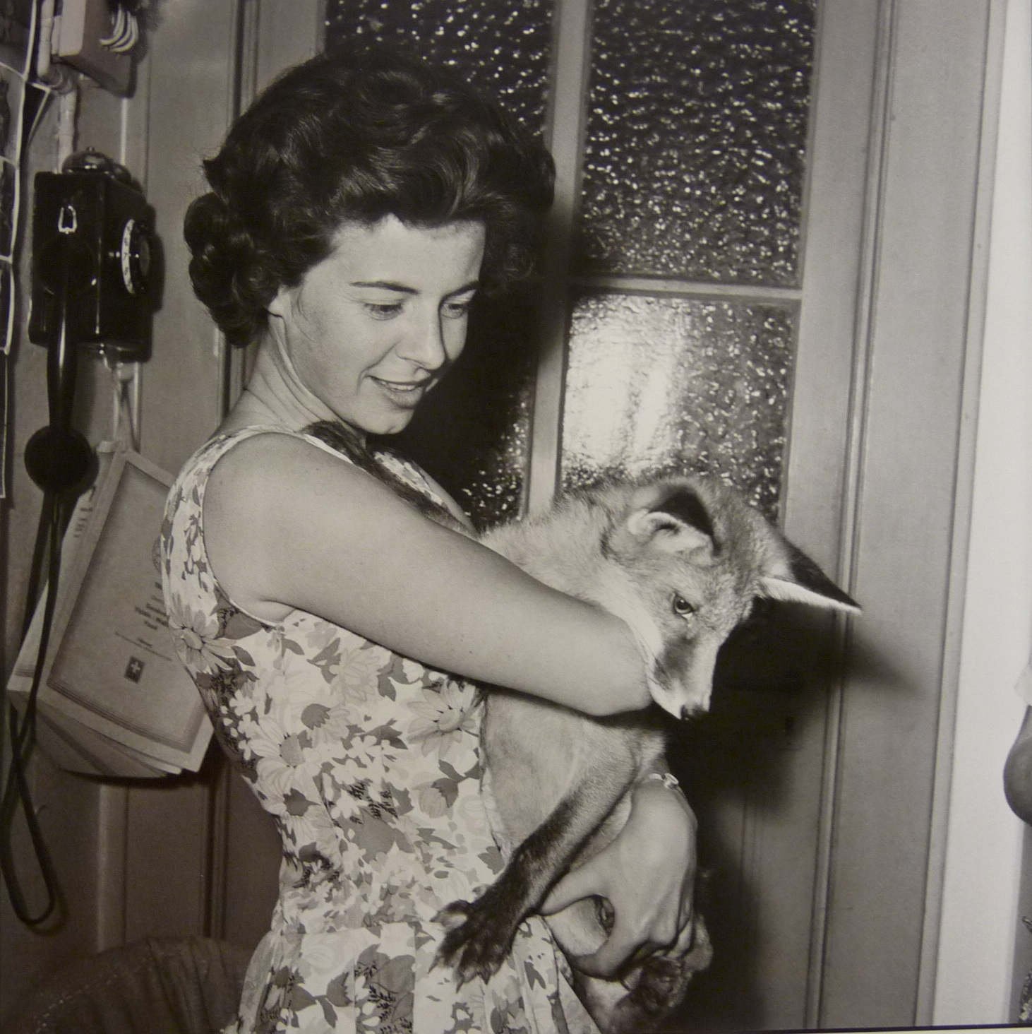 Museum Chronicles: août 2012