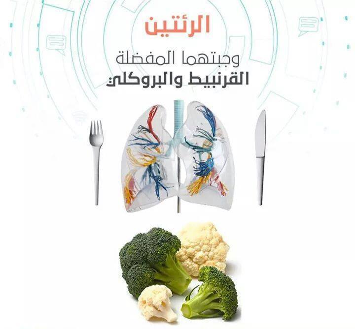بالصور الوجبة المفضلة لكل عضو من أعضاء الجسم ، ستندهش بالصور الوجبة المفضلة لكل عضو من أعضاء الجسم ، ستندهش