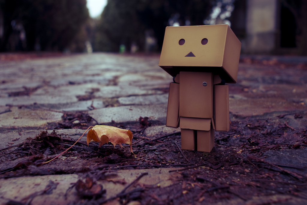 Let's Have Fun: How To Makes Danbo's Doll