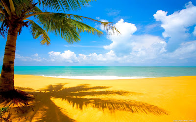 Beach View High Res Nature Backgrounds Wallpaper for Widescreen PC Laptop