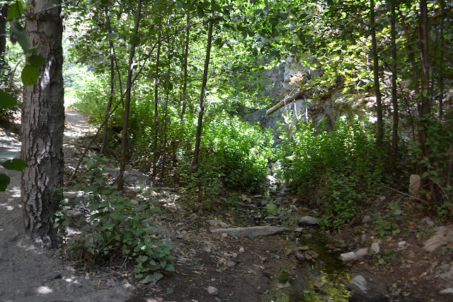 creek across the path