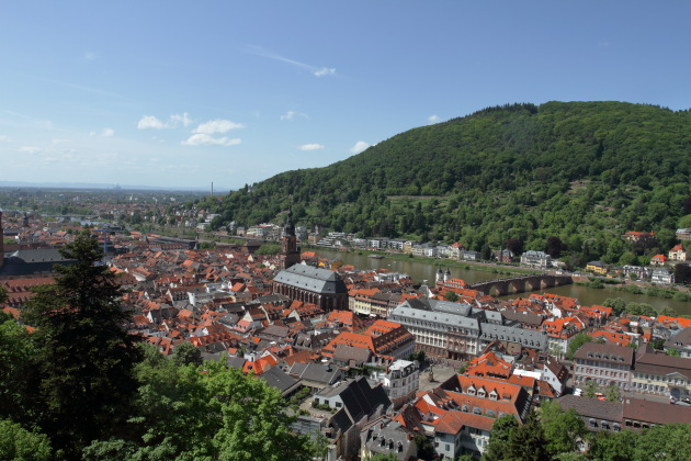 Heidelberg view from the castle