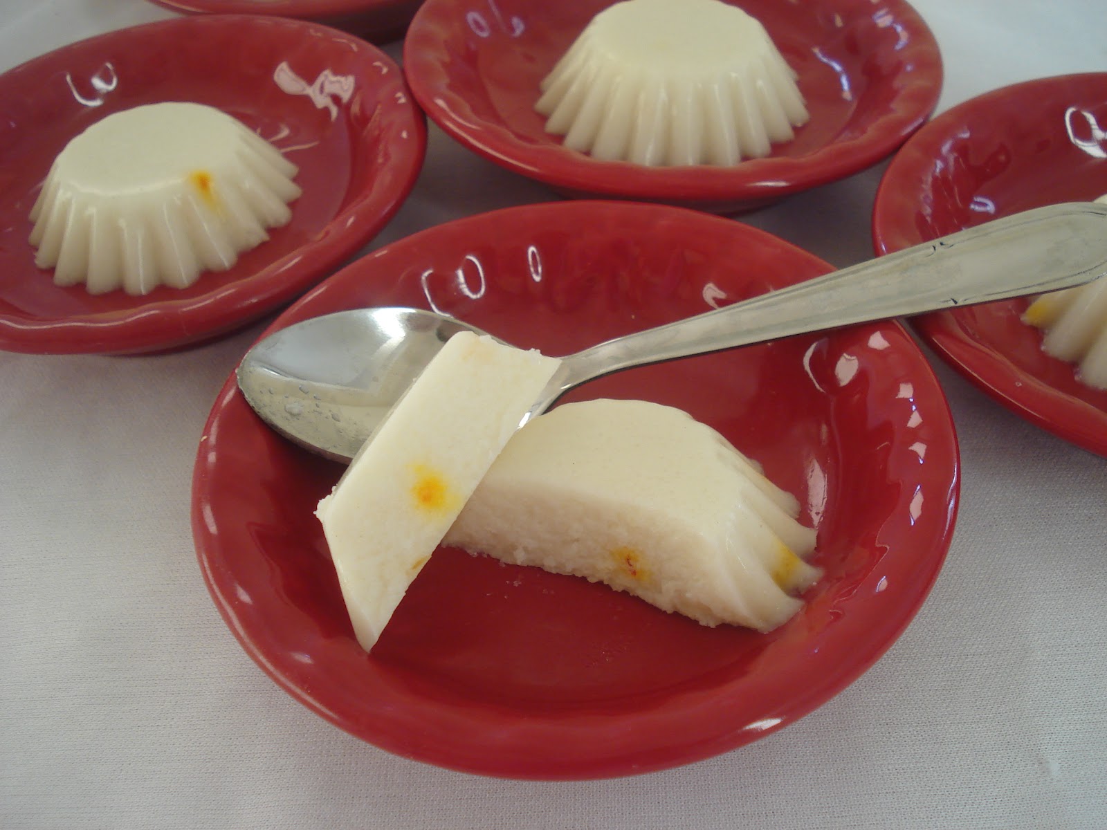 Coconut Pudding Desi Zayeka