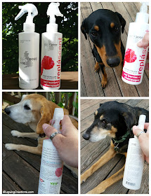 Dogs testing Isle of Dogs grooming sprays