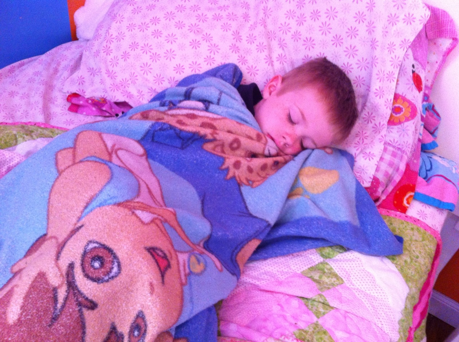 Top Porn Images Babes porn images