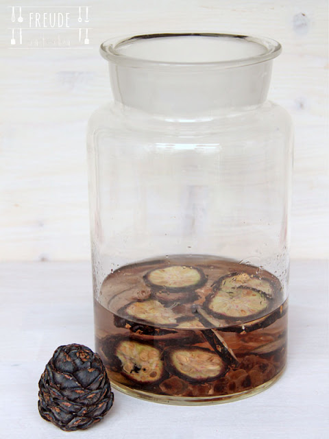 Aus der Zirbe: Zirbenschnaps und Zirbenlikör - Zirbenzapfen - Freude am Kochen Aus der Zirbe: Zirbenschnaps und Zirbenlikör - Zirbenzapfen - Freude am Kochen