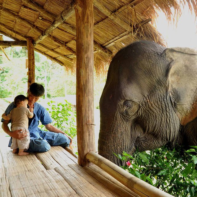 Boon Lotts Elephant Sanctuary, Thailand