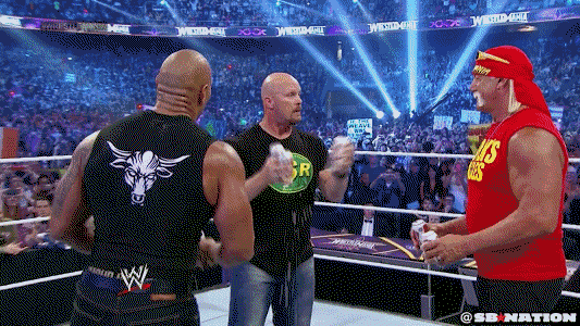 Image result for Stone cold and the rock gifs