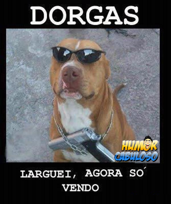 Humor Cabuloso, Videos Engraçados,Tirinhas,Imagens,Fail,Humor de