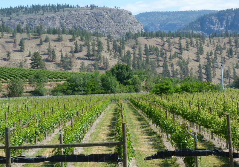 John Schreiner on wine Class of 2016 Pipe' Dreams Estate Winery