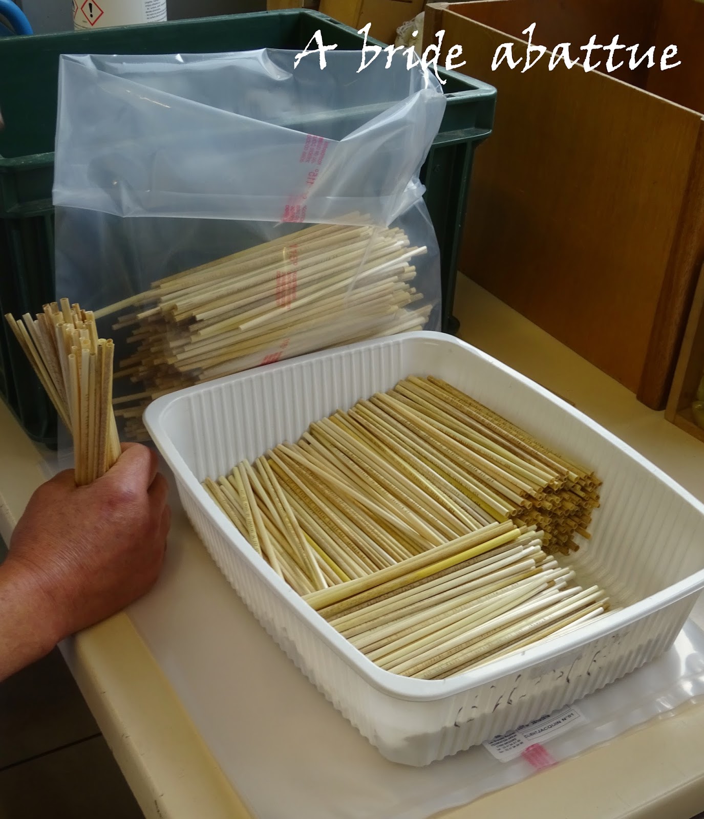 A bride abattue Tout savoir sur le SainteMauredeTouraine